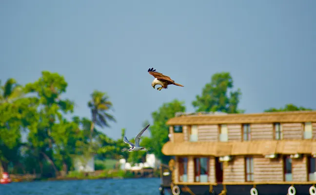  Alleppey: The Backwater Kingdom of India