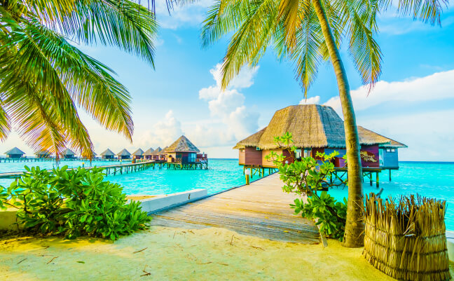 Alleppey Backwaters Blog