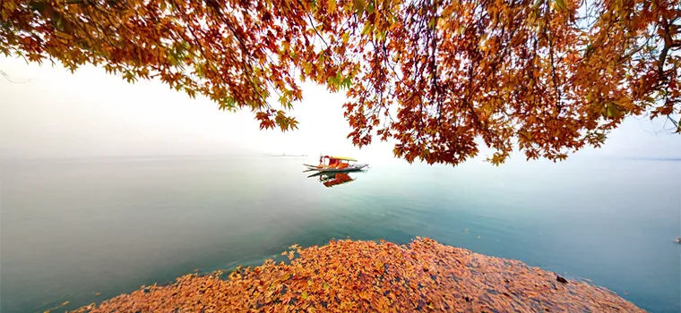 Srinagar Short Break