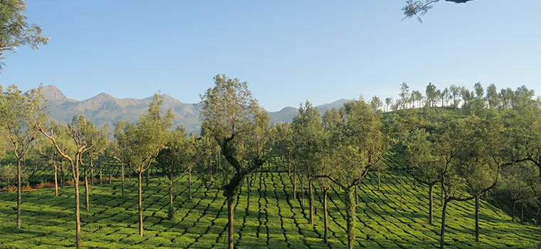 Cliffs Hills Backwaters