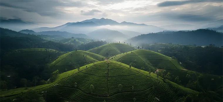 Hills & Backwaters Escape