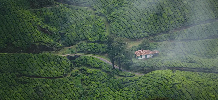 Hills Wildlife & Heritage