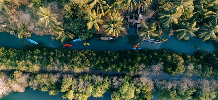 Kerala Coast & Hills