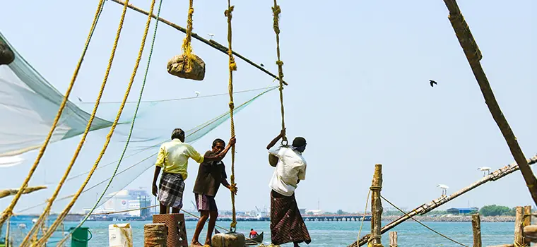 Munnar Weekend Escape