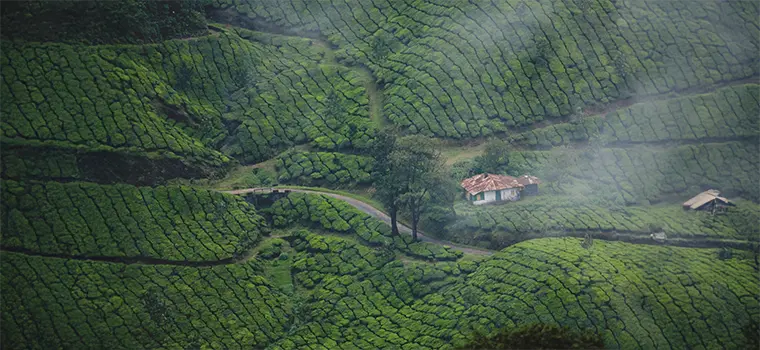 Munnar Weekend Escape