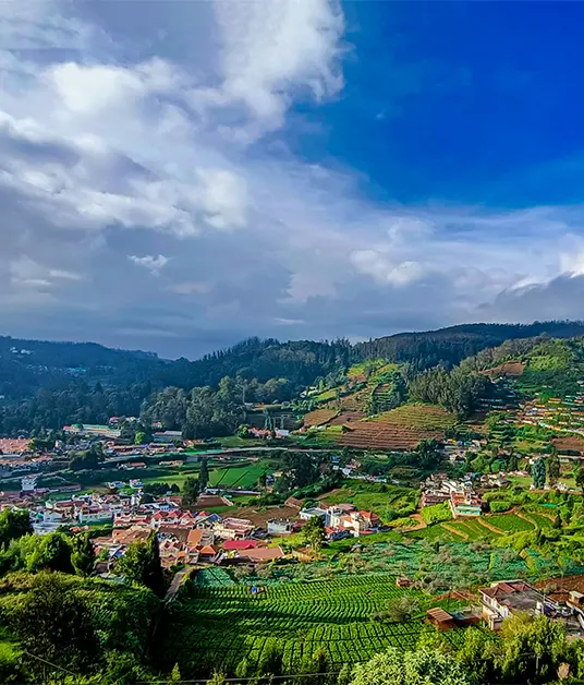 Nilgiris Royal Route