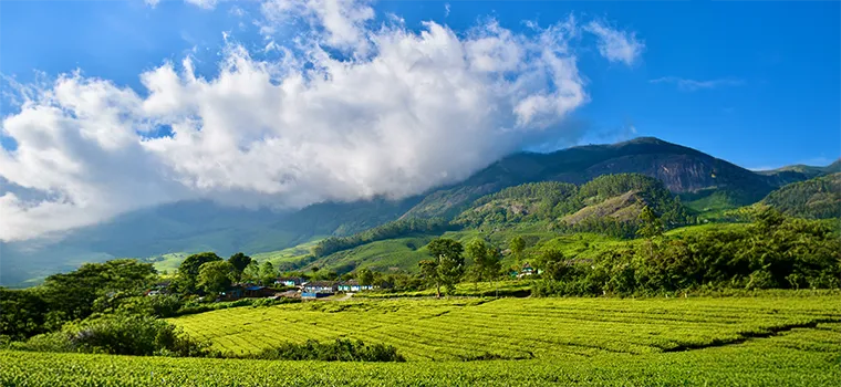 Royal Kerala Retreat