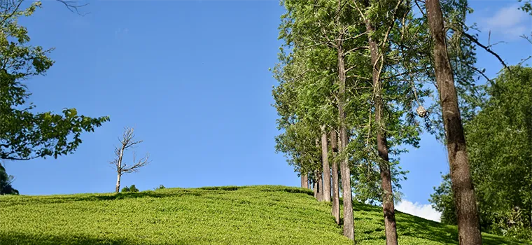 Spiritual & Scenic Kerala