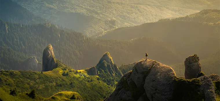 Kerala Hills & Tamil Nadu Shores