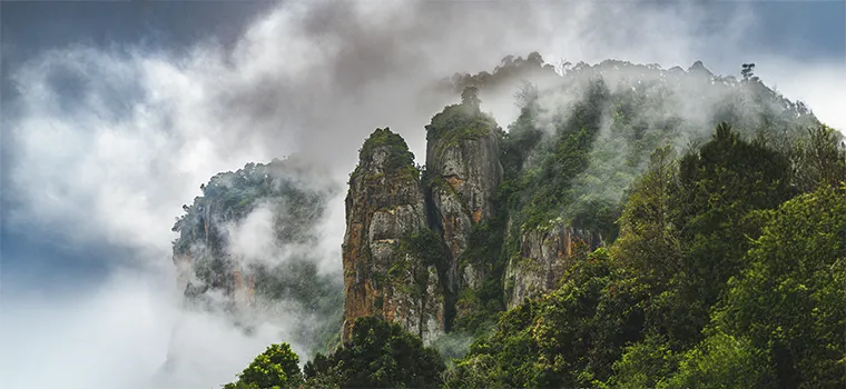 Southern Serenity Journey