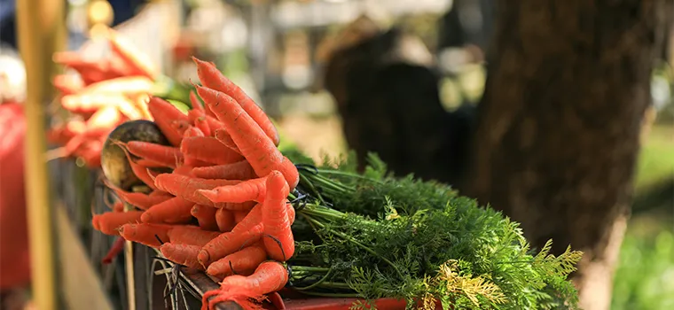 Southern Hill Heritage Tour