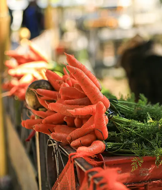 Southern Hill Heritage Tour