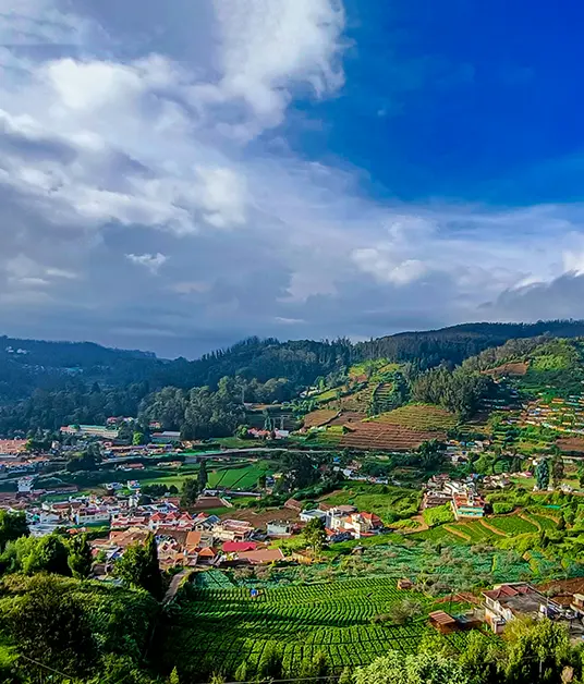 Southern Serenity Journey